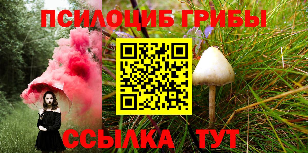 Галлюциногенные грибы Magic Shrooms  Вход с VPN  Борзя 
